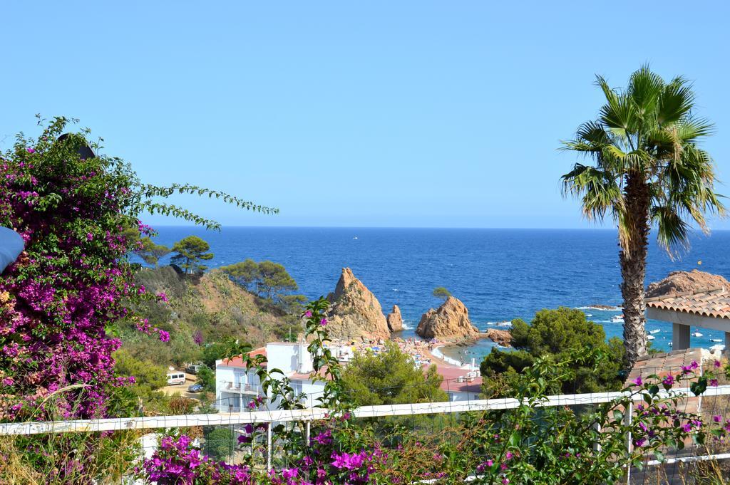 Willa Blanca Paloma - Holiday House Tossa de Mar Pokój zdjęcie